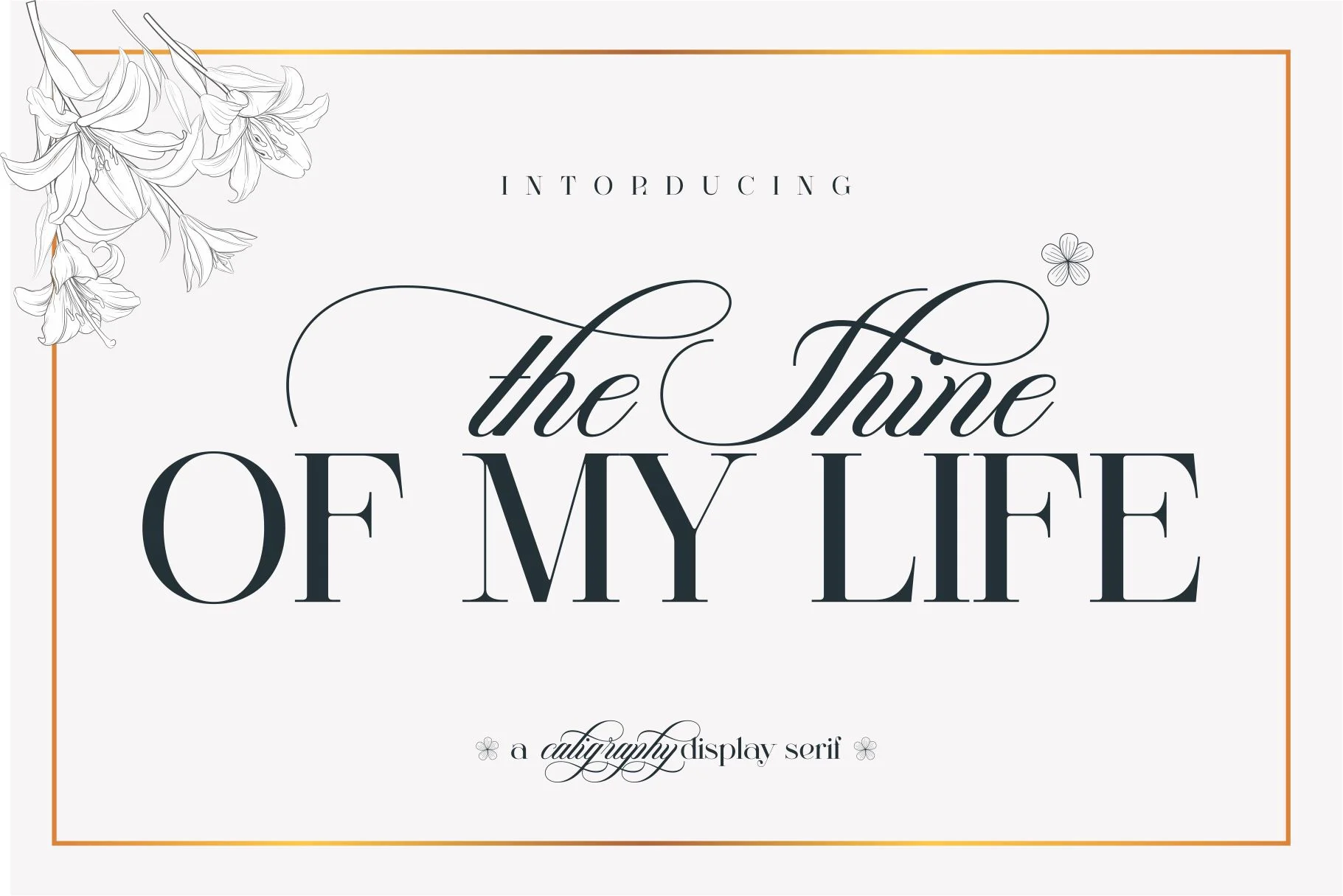 The Shine Of My life